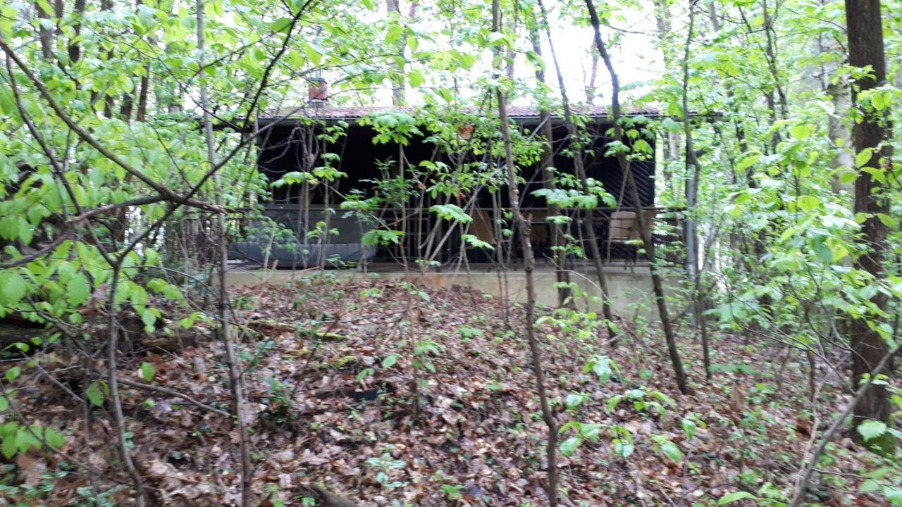 Waldhaus Wiesengrund Schwielochsee Εξωτερικό φωτογραφία